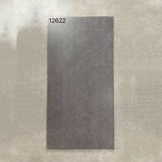 维诺亚600x1200仿古地砖防滑客厅水泥灰仿古砖工业复古风极简风哑光地面 12611