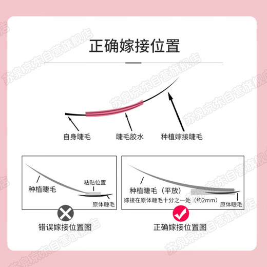 Su Quan grafted eyelash glue for beautiful eyelashes, long-lasting, quick-drying, can open your eyes and graft false eyelashes by yourself