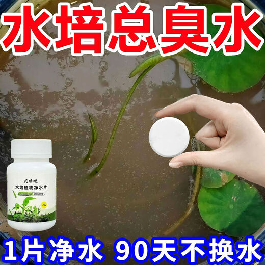 Fresh flowers, rich bamboo nutrient solution, hydroponic plant water purification tablets, disinfection tablets, flower shop purification water quality, hydroponic plant water purification tablets*5 bottles