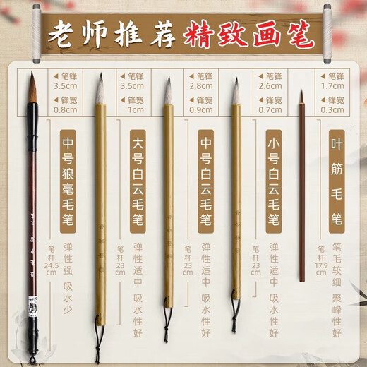Shu Xing Chinese Painting Pigment Set Beginners Ink Painting Chinese Painting Supplies and Tools Full Set of 12 Colors 5ml Primary School Students Art Class Special Brush Rice Paper Materials for Children to Start School