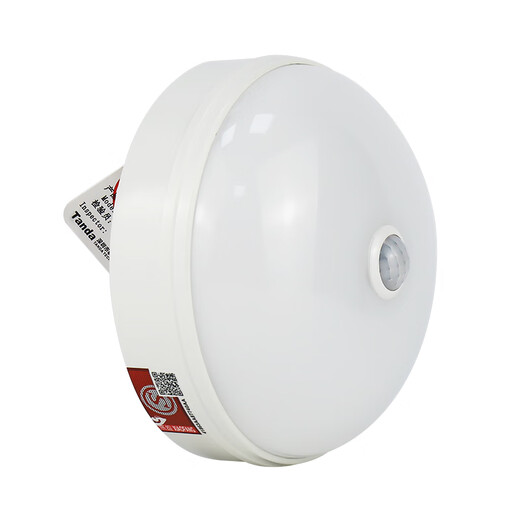 Taihe ein zentraler Stromkontrolle Brand Notfallbeleuchtung Deckenböschetyp Evakuierungsbeleuchtung Zeiger TS-ZFJC-E12W-6628A Deckentyp