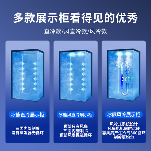 Bingxiong Displayschrank gekühltes Frischlagerschrank kommerzielle Gefrierschrankwein Direkter kaltes vertikaler Supermarkt Convenience Store Bar Biergetränkschrank Displanschrank 338 Eingangstür Displayschrank/Energieeinsparung und niedriger Verbrauch 540*530*1695