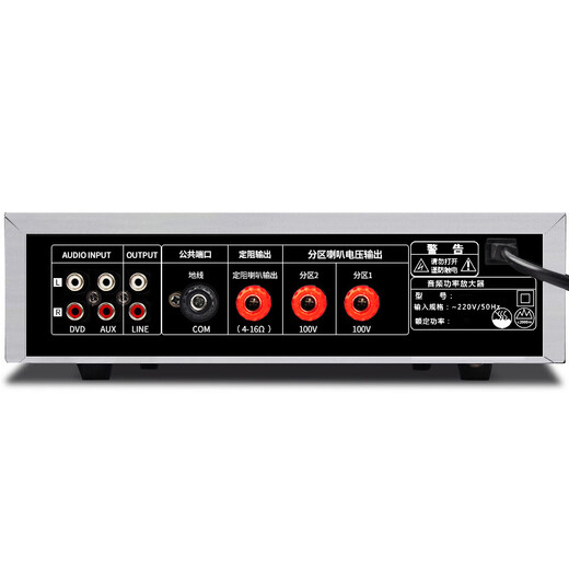 先科（SAST）SA-9002 吸顶音响套装定压功放机公共广播系统吊顶家用客厅会议背景喇叭组合音箱 一拖二