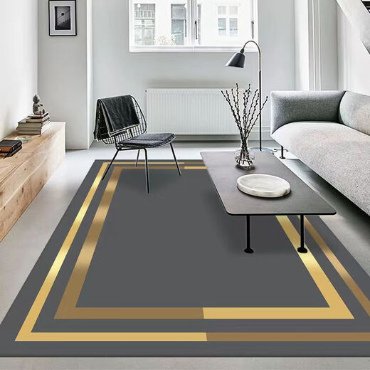 Xuxian light luxury living room carpet floor mat coffee table mat bedroom living room carpet home entrance anti-slip mat large area carpet light luxury-13 200*300 cm