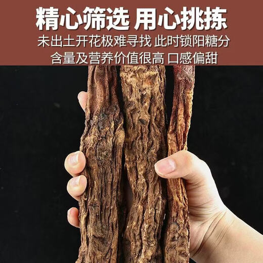 Shen Dingqi Inner Mongolia Pure Wild Gold Suoyang Chinese Medicinal Material Whole Cistanche Epimedium Ni Haixia Eight Diamond Soaked Wine Suoyang Whole Root 250g [2-3 Roots]