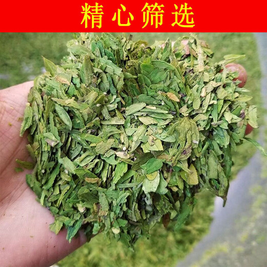 Shifangyi 2024 New Tea Mingqian Broken Tea Slices Green Tea Longjing Tea Slices Strong Flavor Tea Slices Bags Bulk Wholesale 250g