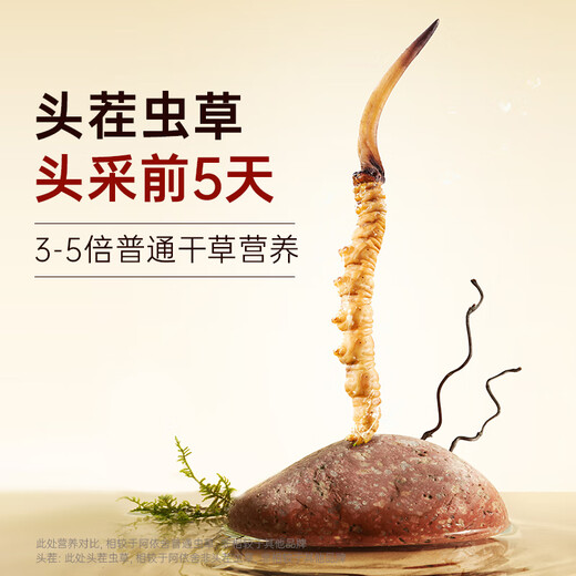 阿依舍冬虫夏草滋补送礼 断虫草 送父母送长辈实惠家庭滋补自用囤货礼盒 大号断草20克【高性价比滋补】