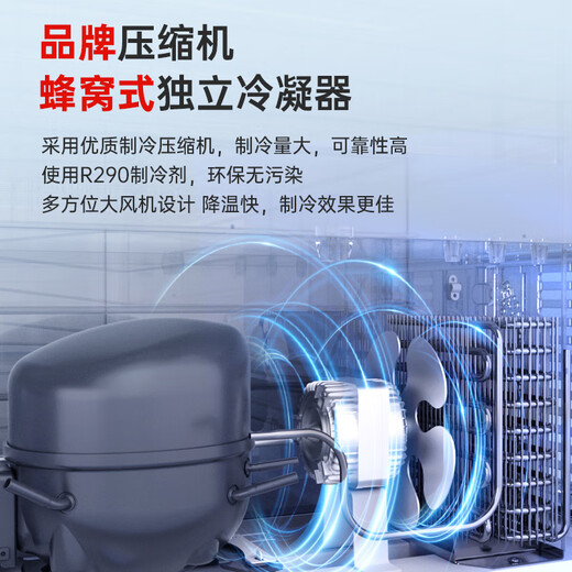 澳柯玛（AUCMA）组合岛柜 商用卧式组合展示柜 大容量玻璃门冷柜雪糕展示柜 超市冷冻冰淇淋水饺丸子 -30℃ 702L 直柜丨无灯带款丨SD-702