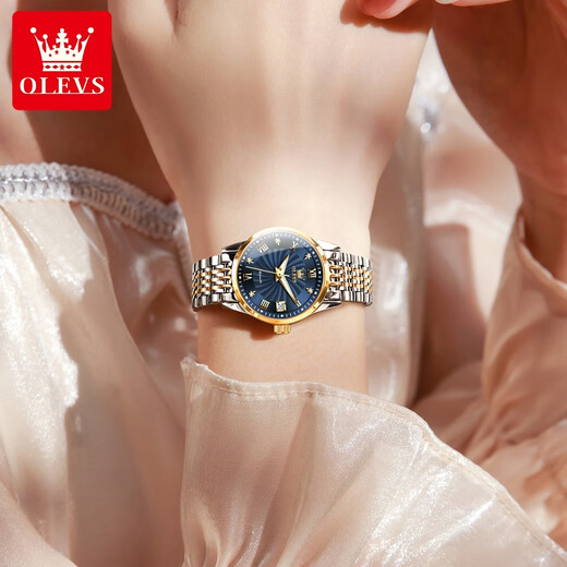 OLEVS Swiss certified brand watch women's luminous waterproof fully automatic mechanical watch simple temperament light luxury women's watch OLEVS-6630 women-steel belt blue