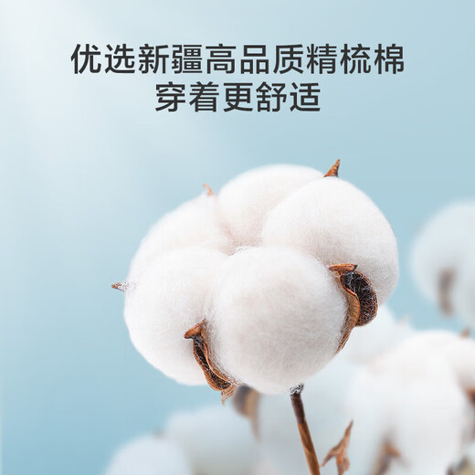 Made in Tokyo, pure cotton disposable underwear, men's boxer briefs, EO sterilized, disposable, daily throw away, business travel, 4 pack, XXL size