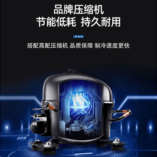 白雪雅竹冰柜商用大容量全冷冻大型冰柜家用冷藏冷冻两用卧式冷柜展示柜 788单温【经济款】1700x690x850