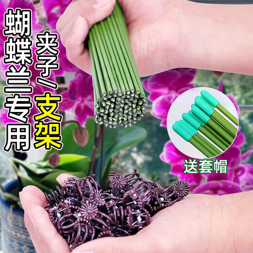
Climbing fixed binding rod Money tree support rod Indoor fruits, flowers, plants, gardening flower stand flower pot support rod 10 4mm green 50cm long 10 sets of hats