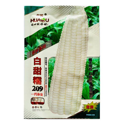 Huasu Baitiannuo 209 Семена белой восковой кукурузы Большие палочки Свежие сладкие семена восковой кукурузы Высокодоходные семена белой восковой кукурузы d Baitiannuo 209 Пакеты 50 г