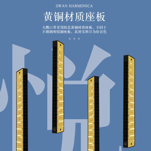 天鹅（SWAN）口琴初学者24孔28孔入门儿童复音成人演奏级重音C调口琴 10孔 布鲁斯红色+