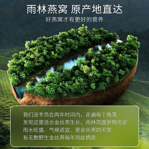 Dried bird's nest shattered, traceability, dry bird's nest shattered, Malay/Indonesia imported tonic products for pregnant women and elderly people without hair picking gift box 9A bird's nest strips 20 grams, free peak sugar, red dates