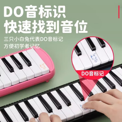 Qimei Brand Organ 37 Schlüssel für Grundschüler und Schüler der Junior High School. Professionelles Musikinstrument für Anfänger von Kindern. 37 Schlüssel [kleiner Champion] Eva Hard Pack + Ersatzblasrohr