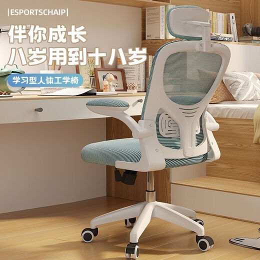 WCZ精一人体工学椅电脑椅家用办公升降转椅职员椅子靠背舒适久坐凳学 【基础款】983白框黑3D腰托海绵款 SGS认证气杆透气抑菌亲肤