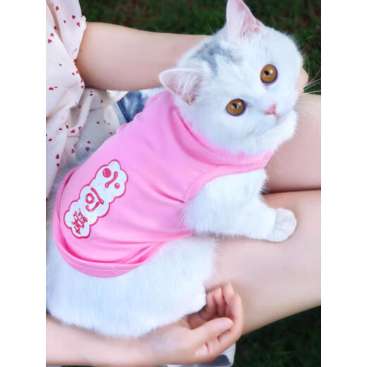 Miaopule Cat Anti-Shedding Home Clothes Cartoon Cat Clothes Vest Style Sleeveless Spring and Summer Thin Teddy Dog Small Sister XL (Recommended 9-15Jin [Jin equals 0.5kg])