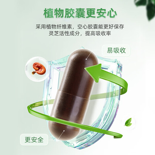 Xianzhilou Breaking Wall Ganoderma Lucidum Spore Powder Capsules 250mg/particle*80 capsules Enhanced immunity Ganoderma Lucidum Polysaccharide Health Products 9 boxes (quarterly measurement)