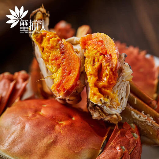 [Certificat-cadeau] Crabe Crab Crab Card Gift Collection Crab Coupon Crab Card Exchange Coupon Pickup Card Hoiley Crab Goiner Type 698 FEMME CRABLE FEMME FEMME 2,0 TOUTQUE PACK 10