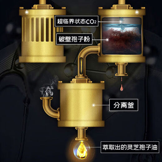 美国品牌进口灵芝孢子油胶囊 成人品破壁灵芝孢子粉浓缩萃取