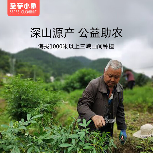 SANFE ELEPHANT Baby Pepperwood Teething Stick Teething Pacifier 3-6 Months Baby Newborn Chewable Baseball Style + Bracelet + Box + Finger Cot Toothbrush 1 Pack