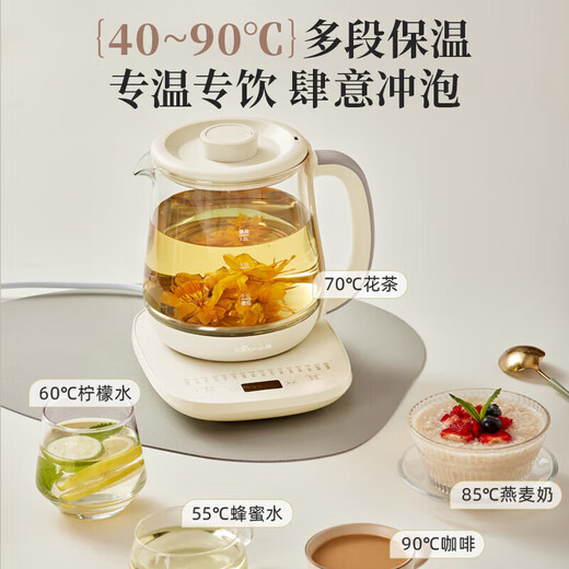 Bear Health Kettle, Tea Kettle, Tea Maker, Thermostatic Kettle, Intelligent Insulation, Large Capacity with Filter, Glass Maternal and Child Grade Material, Stew, Tea, and Boil Kettle, 16 Functions + Filter YSH-F15C1 1.5L