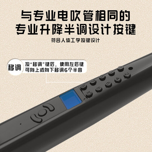 高乐高  GAOEGAO新款国产电吹管乐器大全电萨克斯笛子初学者中老年人葫芦丝电子管 演奏款S56标配黑色
