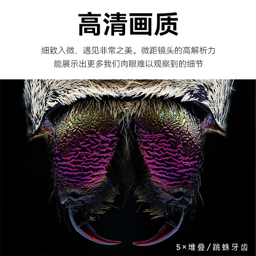 Rockstar 25mmF2.8 full frame 5x magnification super macro lens for shooting insect specimens and flowers Sony E-mount official standard (single lens)