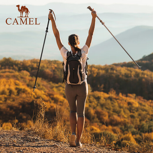 骆驼（CAMEL）登山杖手杖户外徒步爬山轻便携伸缩多功能登山装备铝合金拐杖 174BABP672黑，铝合金直柄折叠280g 均码
