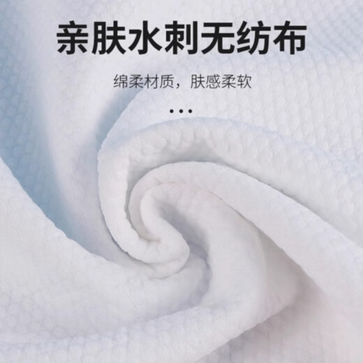 Sha Xiaoqing Cleaning Wipes Down Jacket No-Wash, Easy to Carry Wipe Household Cleaning Artifact, Down Jacket Small Packet of 12 Pieces, Easy to Carry 1 Pack