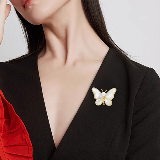 Bai Qixin butterfly brooch female niche design insect tassel literary spring and summer birthday gift simple and versatile accessories brooch white butterfly