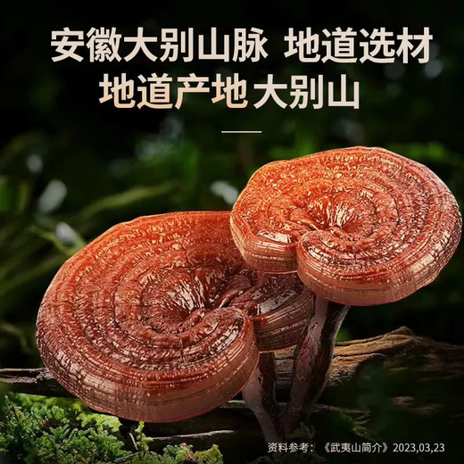 Zhizhengyuan Break Wall Wall Ganoderma lucidum порошок споры усиливает иммунитет тоник для здравоохранения.