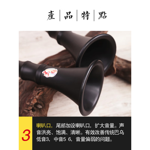玄鹤 巴乌乐器竖吹成人演奏G调F调小学生初学入门大音量单管乐器 G调 +包+指法表