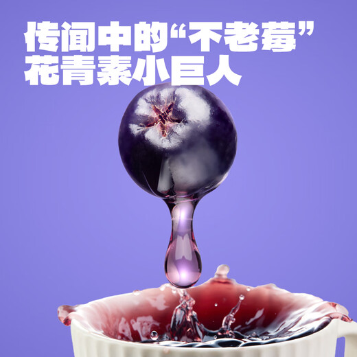 老金磨方桑椹五黑茶100g祛湿枸杞桑葚汁芝麻熬夜养生10袋装男肾补精冷萃泡