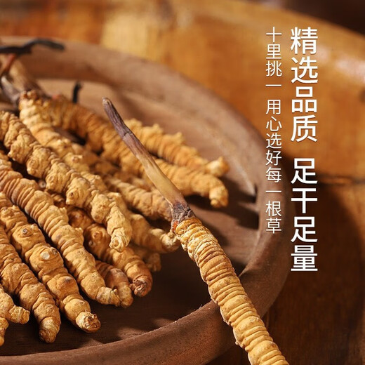 Selected authentic snow mountain cordyceps sinensis genuine first-stage fresh cordyceps 50g gift box for 4 pieces/gram dry goods Tibet Nagqu Cordyceps 50 pieces for 4 pieces/gram