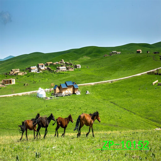 山头林村主播背景布3D立体网红直播间背景山水户外风景背景布 ZP-10975 2米宽+2.5米高(2.5米高)