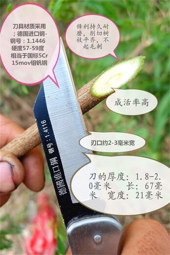 德国钢嫁接刀芽接刀专业专用果树刀 双刃：德国钢：14116