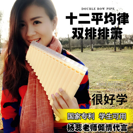 田园诗歌印加黎明双排排箫22十二平均律双排箫小学生初学笛箫乐器32管 32管带吹嘴双排箫