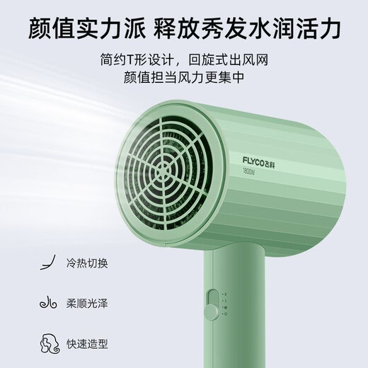 博锐飞科电吹风机家用大功率速干负离子护发冷热风学生宿舍恒温风筒 绿色便携装FH6296 1800W