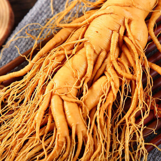 Pékin Tongrentang Jilin Ginseng Changbaisishan Ginseng frais du ginseng frais nord-est rempli de gros vin (le poids brut par branche est d'environ 50 grammes)