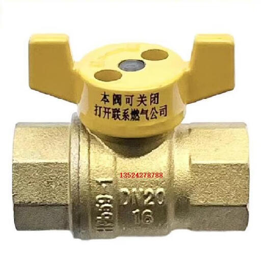 Renjuyi Customized 9277 Erdgasschlüsselmagnetschloss Schlüsselventilventil Key Heizungswassermesser Erdgasmagnetverriegelungsventil DN25