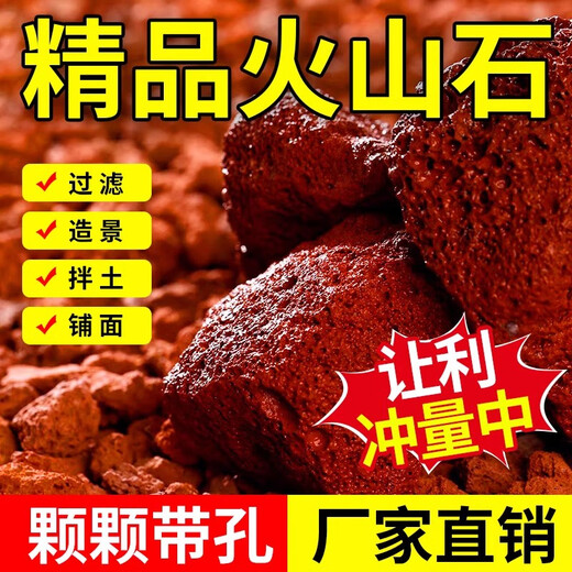 Volcanic stone granular filter material ancient fish tank landscaping bottom sand decoration turtle natural water grass mud succulent base soil A-grade finely screened volcanic stone 1-3 cm 5Jin Jin is equal to 0.5 kg