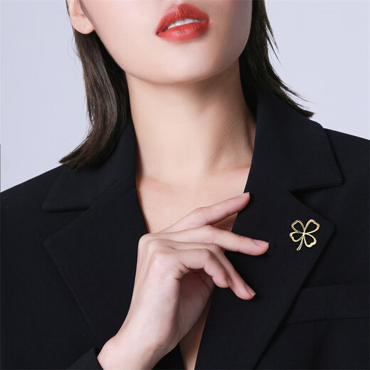 Qlady four-leaf clover anti-exposure buckle brooch high-end women's corsage brooch silk scarf niche accessories collar pin birthday gift