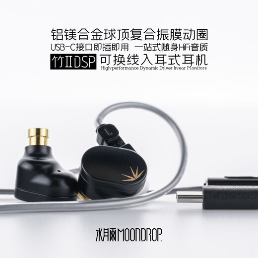 Shuiyueyu Bambus II In-Ear-Dynamik-Spulenkopfhörer mit schaltbarem Drahtdesign HiFi-Fieber Hochleistungsstarke Ohrstöpsel 0,78 Dual Pin Bamboo 2 [DSP-Version]