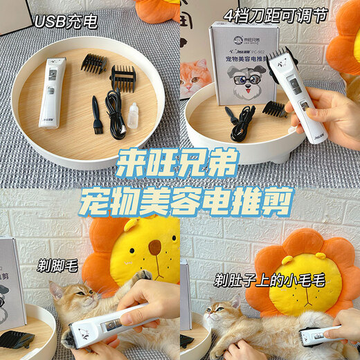 Laiwang brothers pet shaver dog shaving and shearing machine powerful non-stuck electric pet clipper PC-902 white