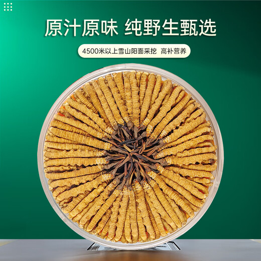 Zhaoying Peak [Wild] Cordyceps sinensis, le nouveau cordyceps séché de première étape Sinensis à Nagqu, Tibet, cadeau cadeau cadeau, Nagqu 5 GRAMES WILD 10, 50 pièces [80% des clients préférés]