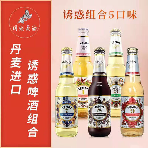 Tentation (TEMPT) Tentation domestique n ° 7 TEMPT N ° 7 Elderberry No. 13789 Girls Fruit Wine and Fruit Beer Craft Beer 4-5 bouteilles Temptation n ° 7 5 Bouteilles + ouvre-bouteille [domestique]