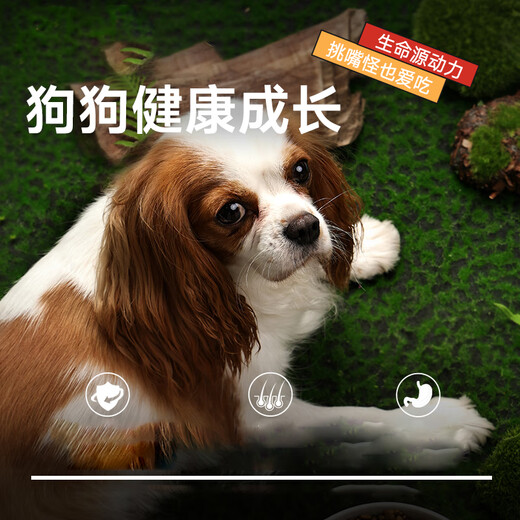 Maifudi Nutrition Forest Dog Food 20 Jin [Jin equals 0.5 kg] General-purpose natural food for all dog breeds Adult Dog Food 10kg