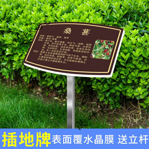 Plant introduction sign, tree sign, Chinese herbal sign, animal introduction sign, plant science sign, customized outdoor, customized PVC covered crystal film + column 20x30cm